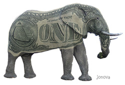 Grey elephant with dollar bill for skin