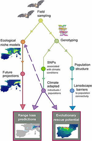 Two model outcomes