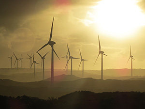 Wind turbines, Albany, Jo Nova